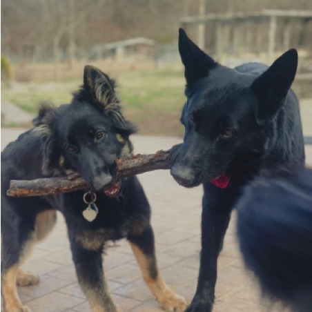 Asa shares a stick with Grandma